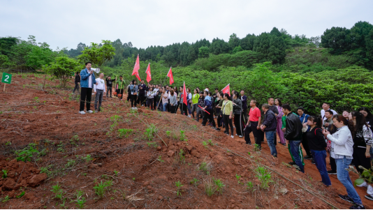 省大奖国际集团开展龙泉山都会森林公园 “包山头”植树运动